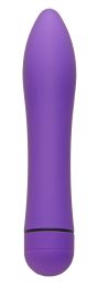 Violet Bliss Variable Speed Vibe