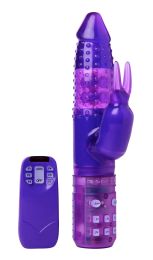 6 Function Purple Remote Rabbit Vibe