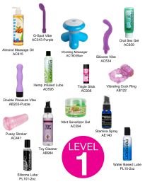 Home Sex Toy Party Kit- Level One