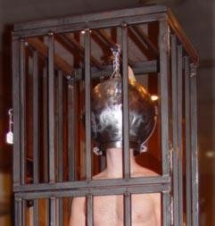 eXtreme Steel Head Cage With 6 Inch Collar